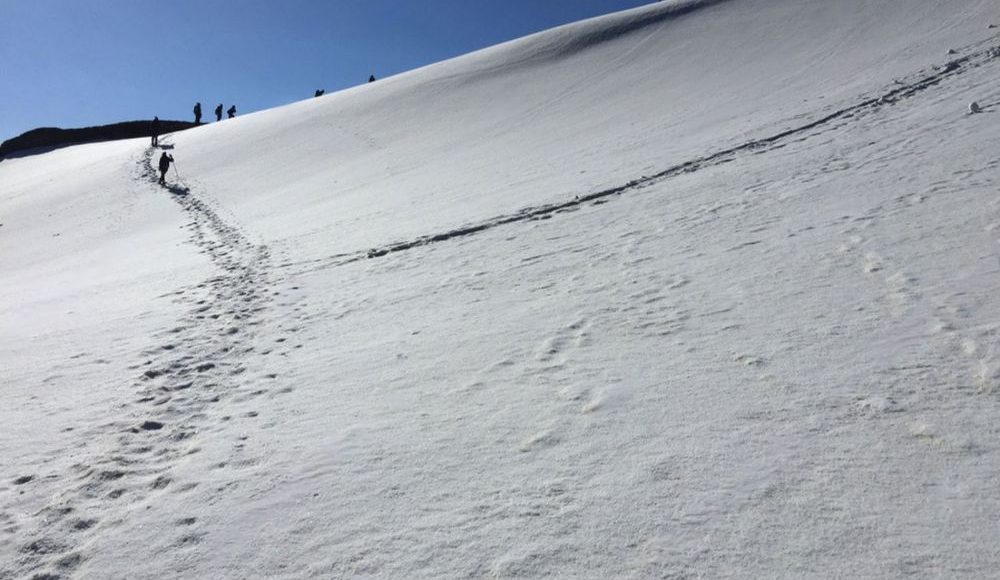 Pangarchulla Peak Trek