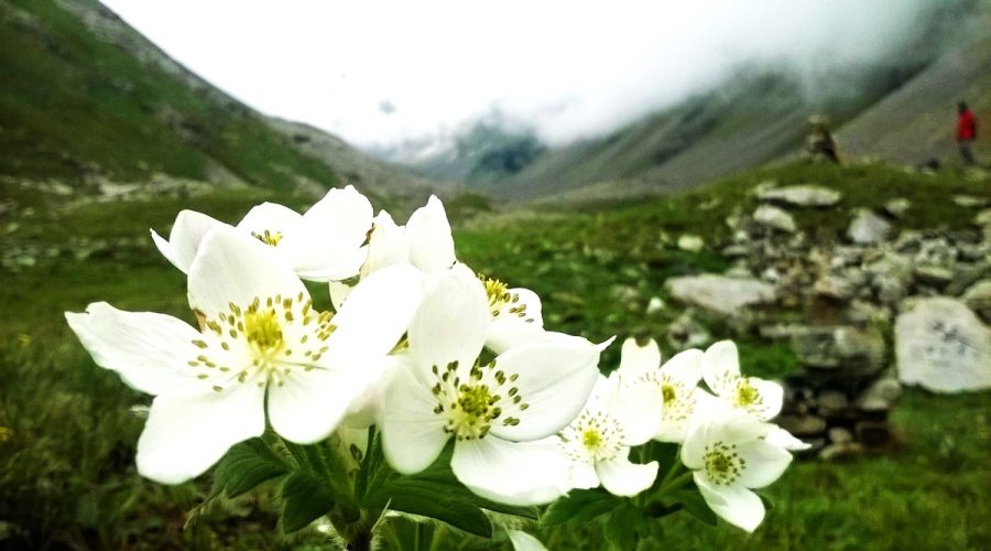 Chandranahan Lake Trek