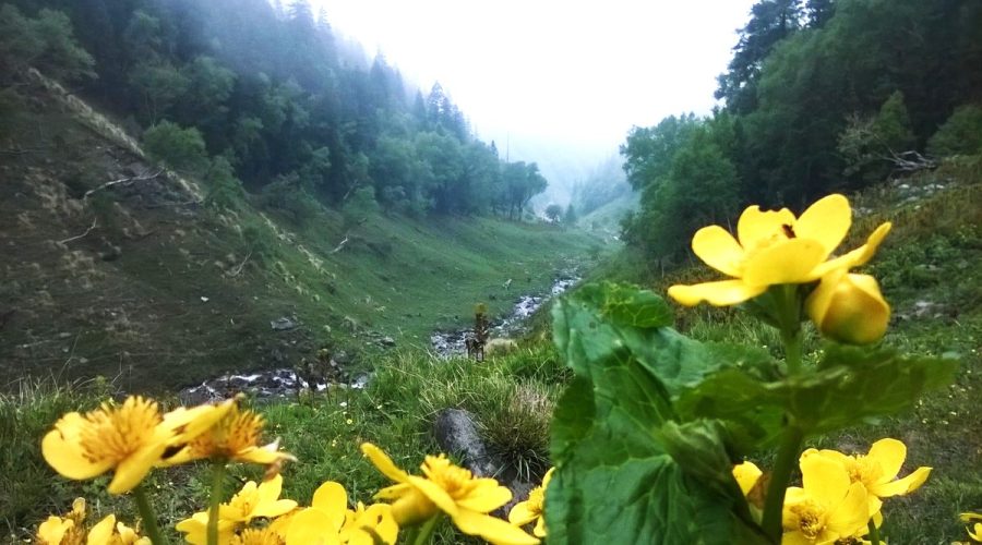 Chandranahan Lake Trek