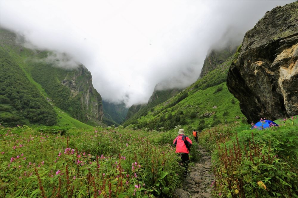 Valley Of Flowers Trek Itinerary Best Time Cost Map Best Guide   Valley Of Flowers Trek Advenchar 15 