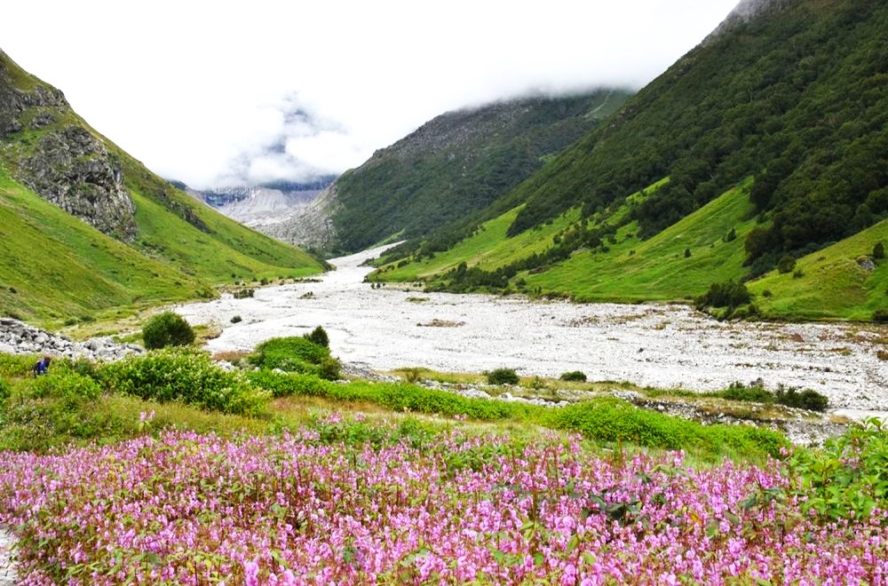 Valley Of Flowers Trek | Itinerary, Best Time, Cost, Map | Best Guide