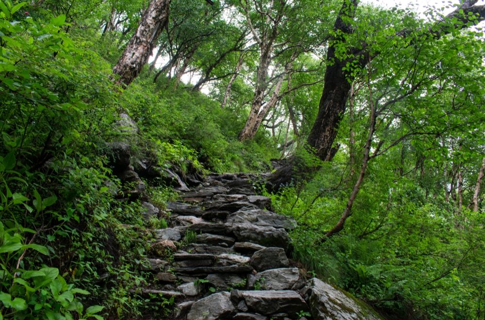 Valley Of Flowers Trek Itinerary Best Time Cost Map Best Guide   Valley Of Flowers Trek Advenchar 6 