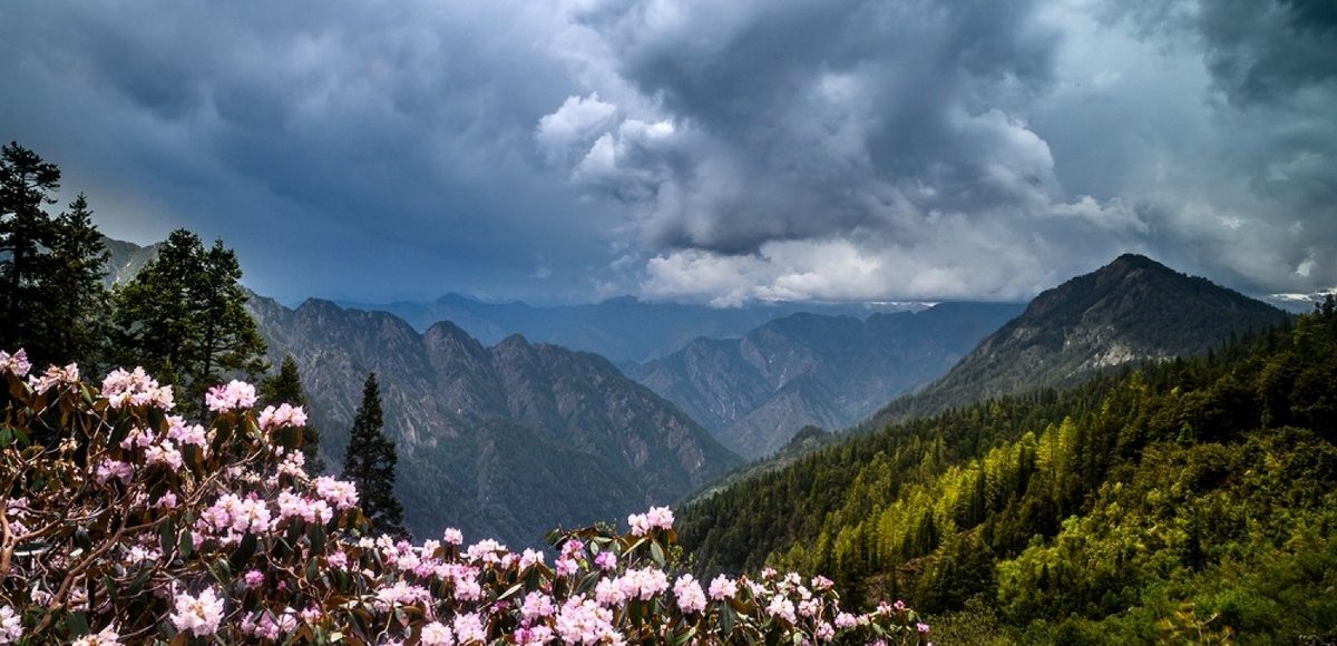 Sar Pass Trek