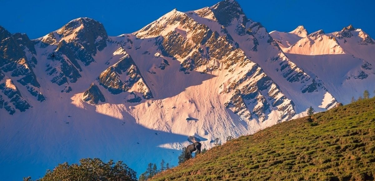 Sar Pass Trek